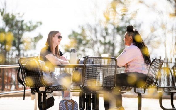 Two friends sit among yellow blossoms at an outdoor table on a college campus.  